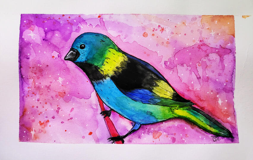 Colourful Water Painting Bird